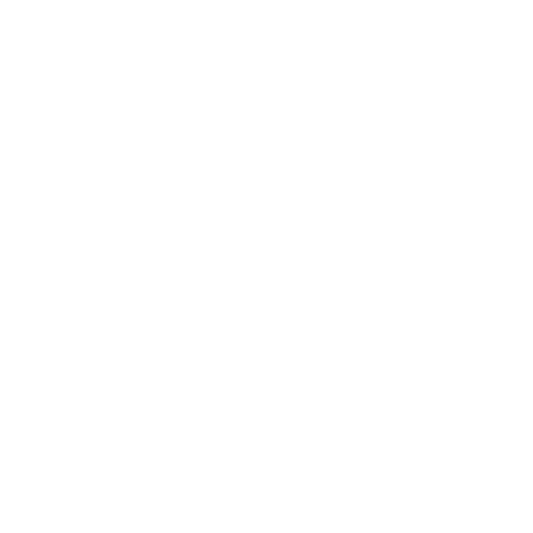 TERENCE