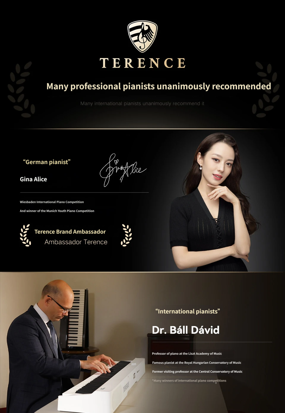 Terence V20 Foldable Digital Piano