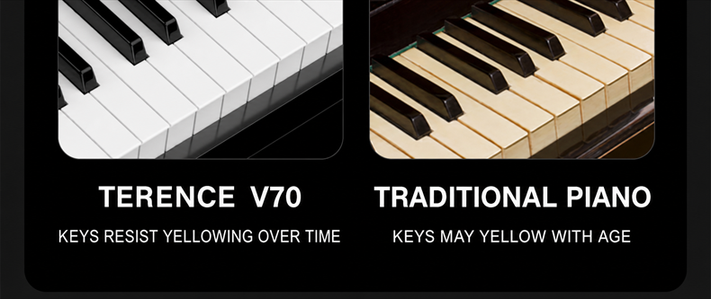 Terence V70 Foldable Digital Piano