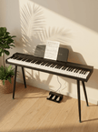 Terence P10 Digital Piano – 88 - Key Weighted Electronic Piano with Three Pedals - terenceofficial