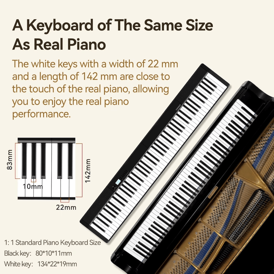 Terence V30 Pro Foldable 88 - Key Digital Piano with Fully Weighted Keys - terenceofficial